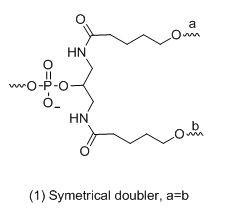 Bio-Synthesis Inc. Oligo Structure